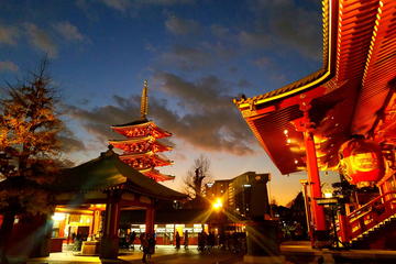Private tailored tour Tokyo - The Harmony of Modernity and Tradition
