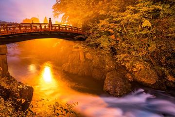 Private tour Nikko - The Jewel tucked in the Japanese Alps