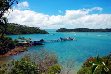 Shared Departure Transfer: Airlie Beach or Shute Harbour Hotels to Proserpine Airport