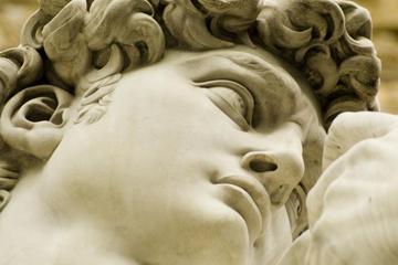 Florence Sightseeing Tour with Accademia Gallery Visit