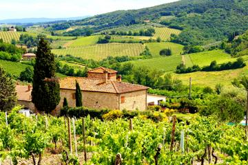 Florence to Greve in Chianti Tour with Wine Tasting Experience