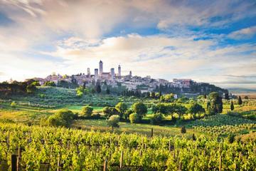 Siena, San Gimignano, Monteriggioni and Chianti Wine Tasting Tour from Florence