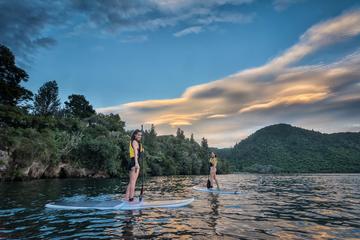 Rotorua Twilight Paddle-Boarding Tour and Glow Worm Experience