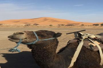 16 Days Morocco grand tour from Casablanca