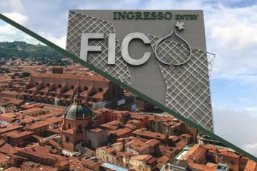 FICO & THE CITY