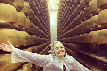 Small-Group Italian Food and Wine Tour with Gourmet Lunch from Bologna