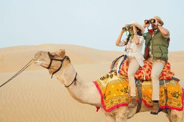 Private Full-Day Trip to Jaipur From Delhi  Including Entrance Tickets