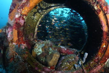 Scuba Diving in Tulamben
