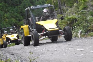 Ketchikan Shore Excursion: Off-Road Adventure Tour