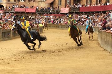 Palio Tour