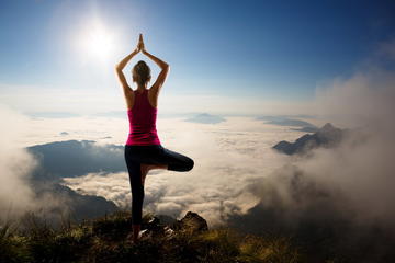 FLY & YOGA