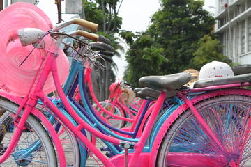 OLDTOWN CYCLING TOUR (PRIVATE CYCLING TOUR)