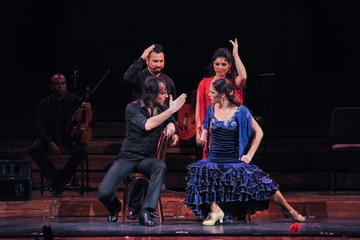 Opera and Flamenco Performance in Barcelona at Teatre Poliorama or Palau de la Música Catalana