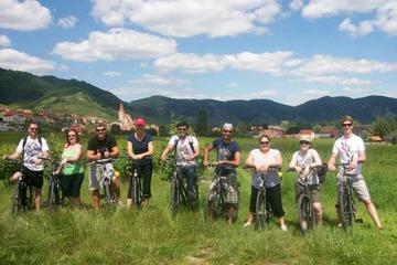 Wachau Valley Winery Small-Group Bike Tour from Vienna