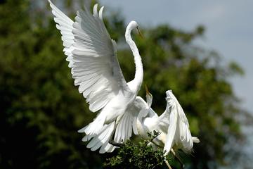 2 Day Tour to Galle & Bundala National Park From Colombo