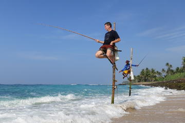 Shore Excursion Colombo Port Terminal To Galle Stilt Fishing Experience