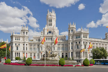 Private 3-Hour Tour in Madrid
