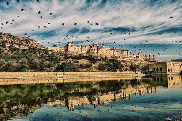 Full day sightseeing Jaipur