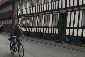Aarhus Private Bike Tour
