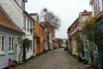 Aarhus Private Walking Tour