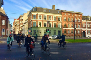 Aarhus Small Group Bike Tour