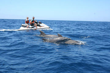 2 Hour Jet Ski Safari