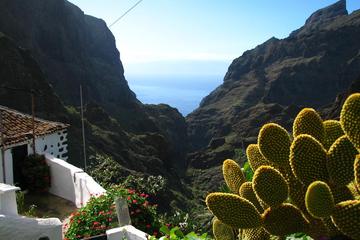 9 hour Trekking Tour of Masca Village in Tenerife for Small Group with Guide