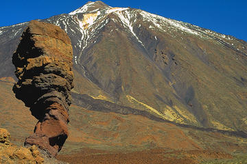 Half Day Mount Teide
