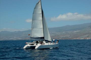 Luxury 3 Hour Catamaran Sailing In Tenerife