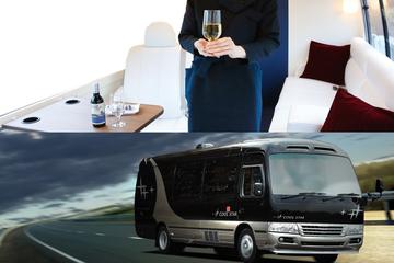 Luxury Transfer Service For Ski Season: From Tomamu Resort to New Chitose Airport
