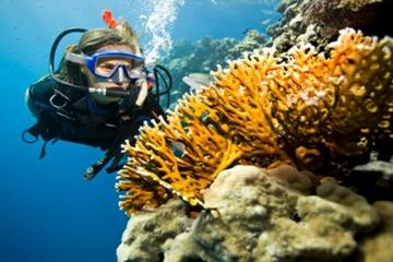 Marsa Alam Holidays and Packages