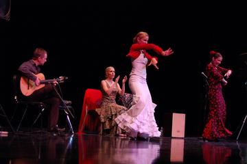 Tapas and Flamenco Show