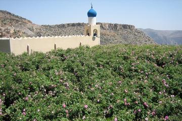 9-Hour Jabal Akhdar Green Mountains Tour