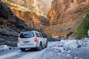 Private Tour: Wadi Thrills at Wadi Arbayeen