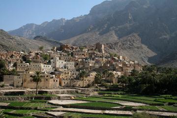Private Tour: Wadis and Mountains - Wadi Bani Awf from Muscat