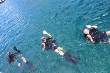 PADI Open Water Diver course