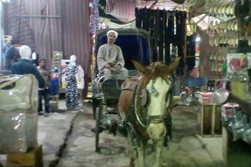 City tour by horse carriage