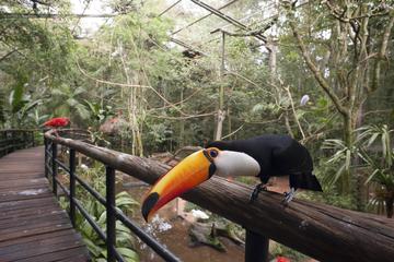Brazilian Falls And Bird Park - Private Tour