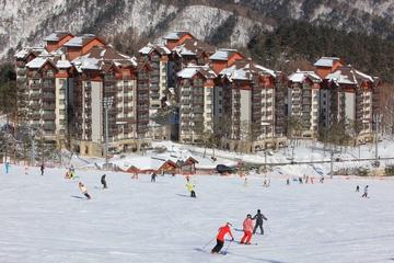 2017-18 Yongpyong Season Pass for Foreginer