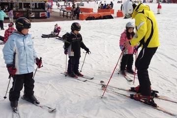 8.5-Hour Daemyung Vivaldi Park Ski Day Including Private 2-Hour Ski Lesson