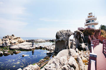 Gangneung Day Trip Including Zipline and Bike Ride from Seoul