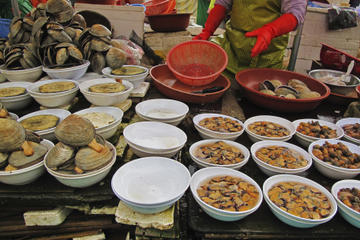 Noryangjin Fish Market and Bike Tour along the Han River
