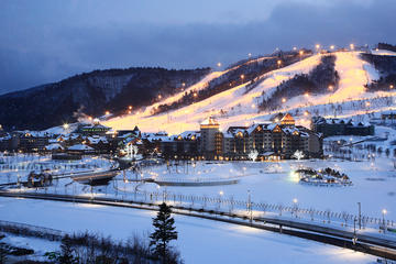 Shuttle Bus from Seoul to Yongpyong or Alpensia Resort in Pyeongchang