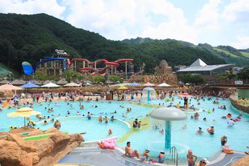 Water Park Day Tour at Ocean World in Vivaldi Park
