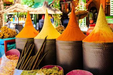 Full day guided city tour of Marrakech including Gardens
