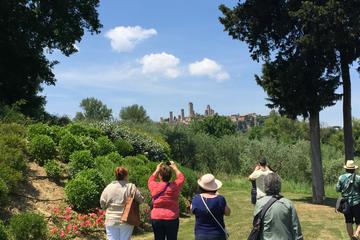 Pisa and Tuscany from Florence Private Tour