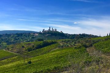 Shore Excursion to Tuscany & Winery from Livorno