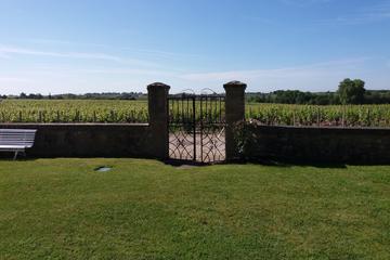 Médoc Afternoon