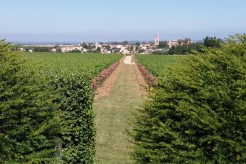 Saint-Emilion Morning