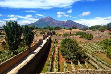 Pompeii at opening time tour